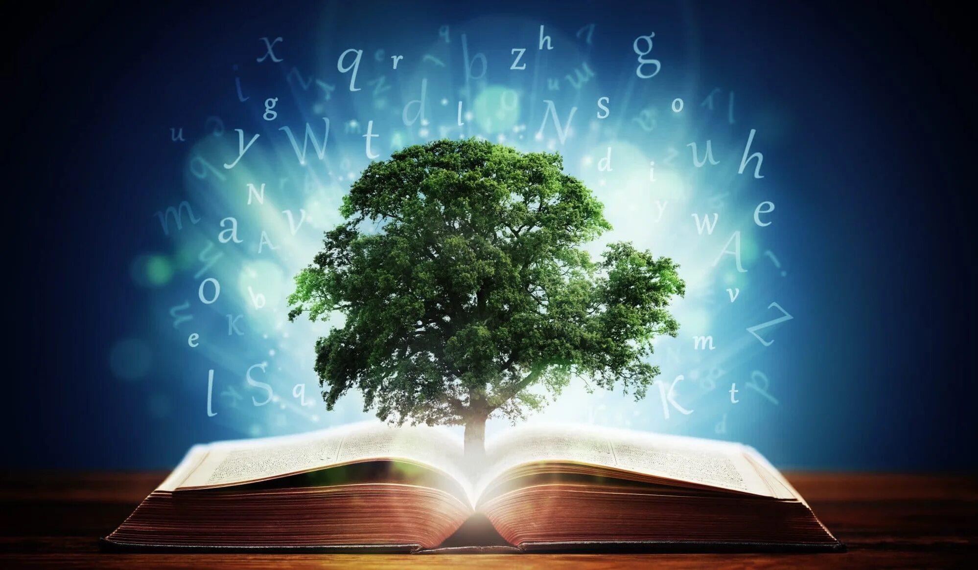 Духовное обучение. Знания мудрость. Книга знаний. Дерево знаний. Дерево с книгами.