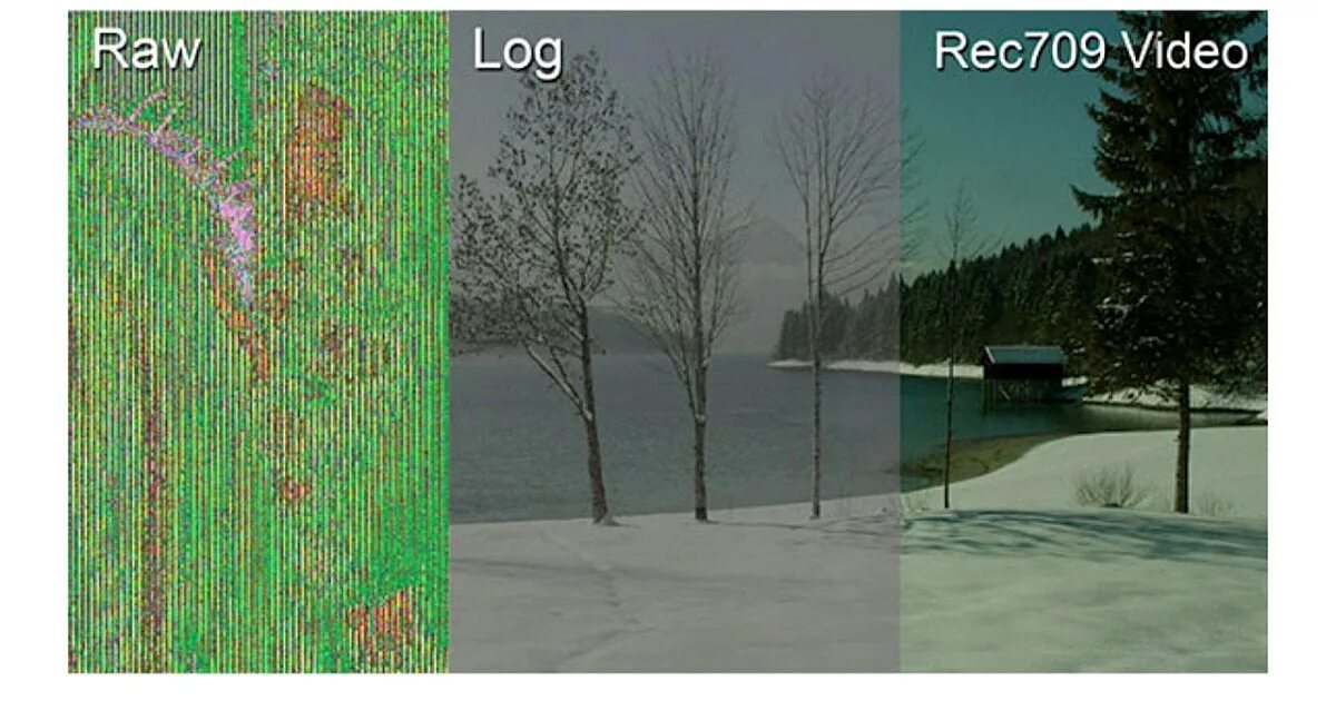 Raw log. Raw log. The forest бревно. Raw log. Wood parts.