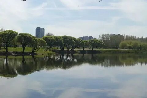 Полюстровский парк
