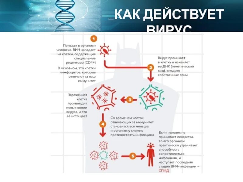 Вирус живущий в организме человека. Вирус в организме. Как действует вирус. Как действует вирус в организме человека. Как работает вирус.