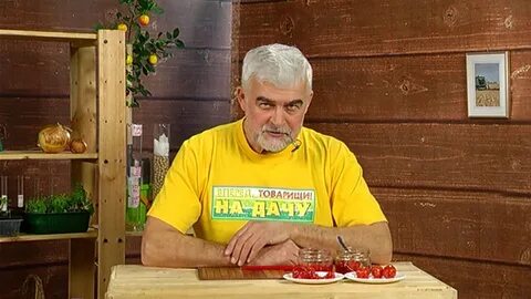 Товарищ дача