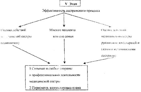 Сестринское дело 1 курс
