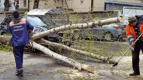 Ситуация в подмосковье на сегодня