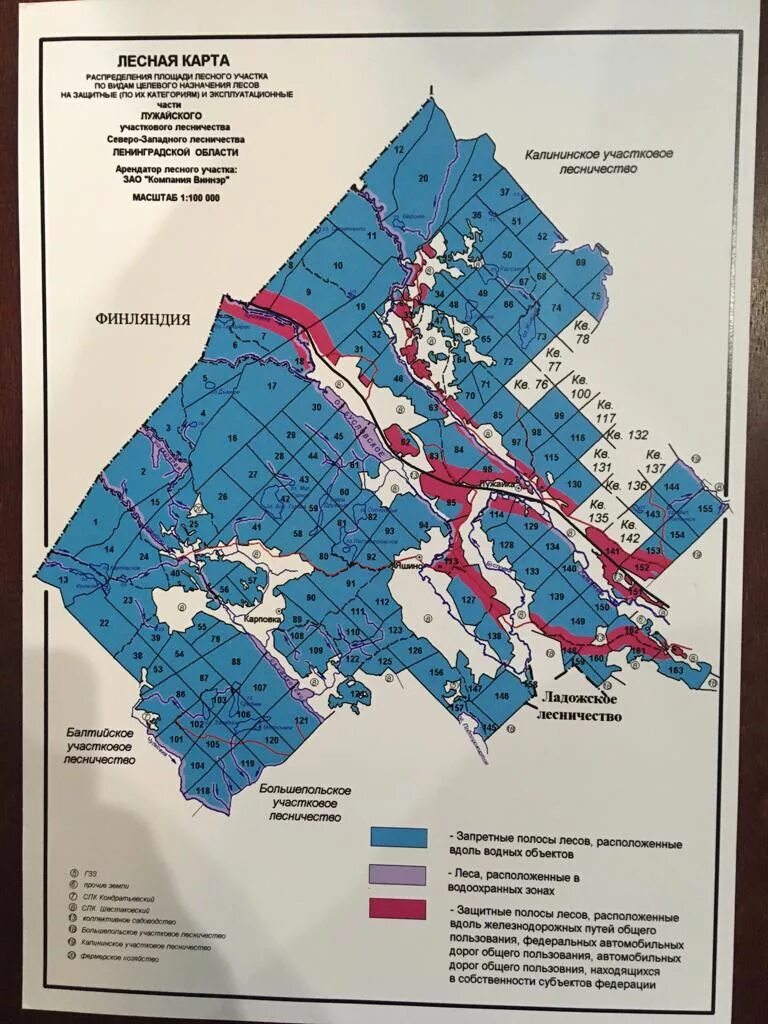 Карты лесного хозяйства. Карта схема Рощинского лесничества Ленинградской области. Карта схема Морозовского лесничества Ленинградской области. Всеволожское лесничество схема. Схема Гатчинского лесничества.