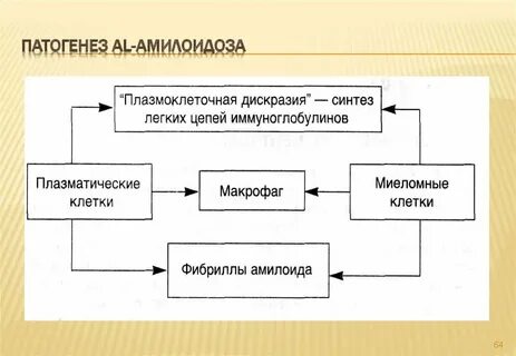 Теории амилоидоза