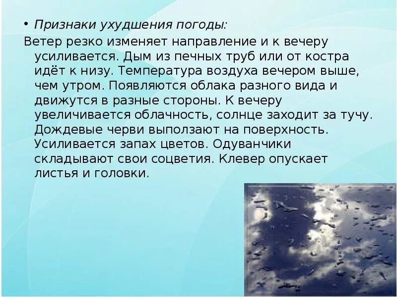 Сильный ветер весной. Осенний ветер. Ветер в природе. Признаки ухудшения погоды обж. Осень ветер.