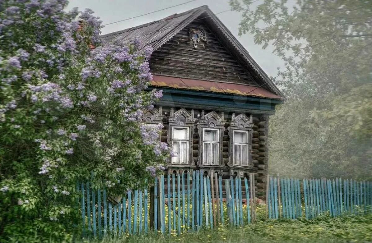 Дом деревня ноздрево. Палисад деревня кусты. деревня деревня старый домик. палисад мальвы деревня. палисад черемуха деревня.