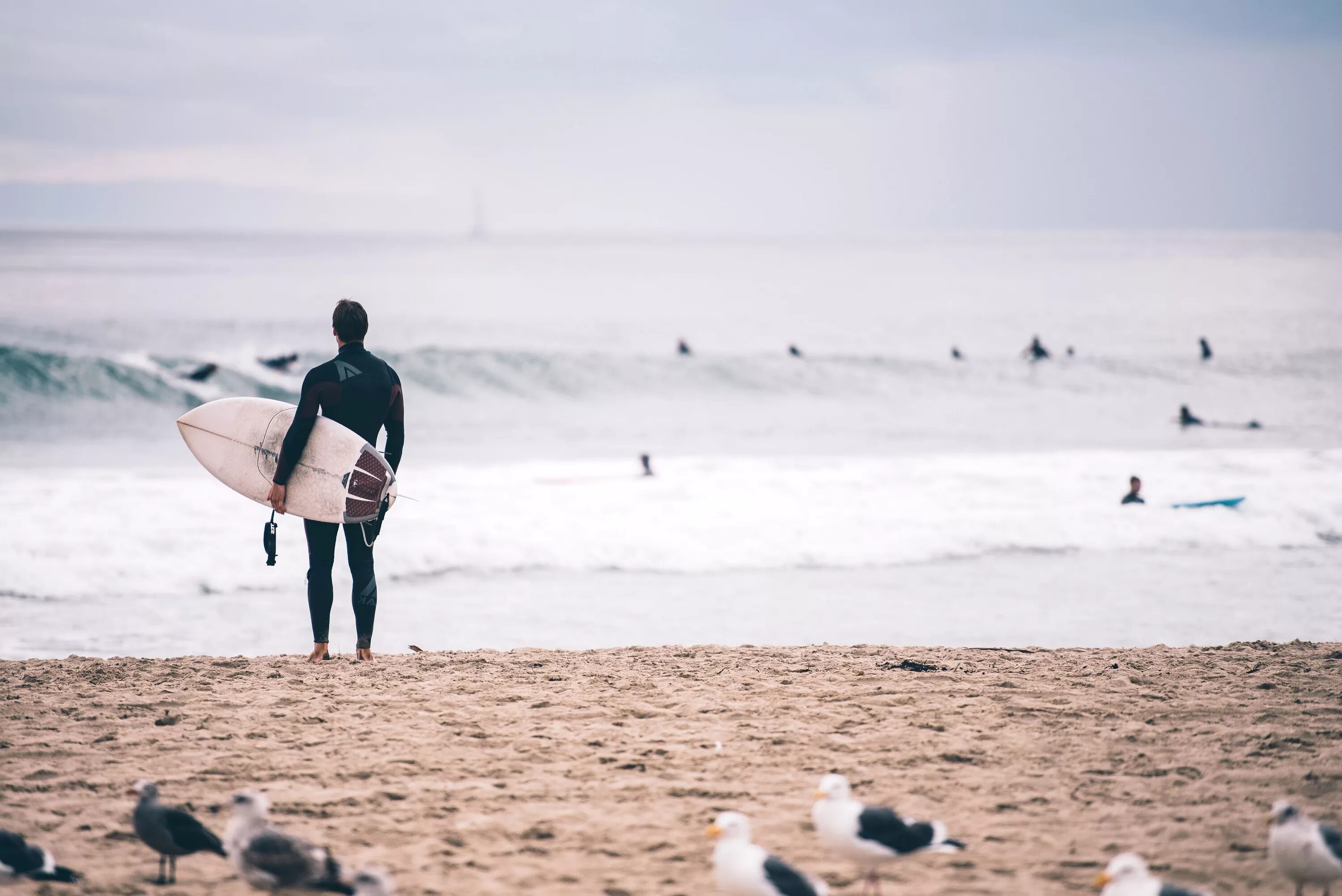 Море песок люди. Море песок люди. Морской пляж с людьми. Море песок люди. Следы на пляже.