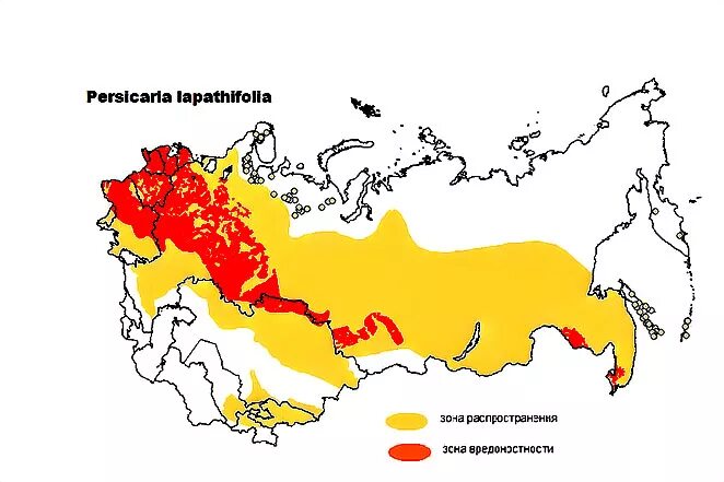 Яблоня распространение. Распространение яблони на карте. Яблоня ареал распространения. Зона распространения. Жесткокрылые распространение карта.