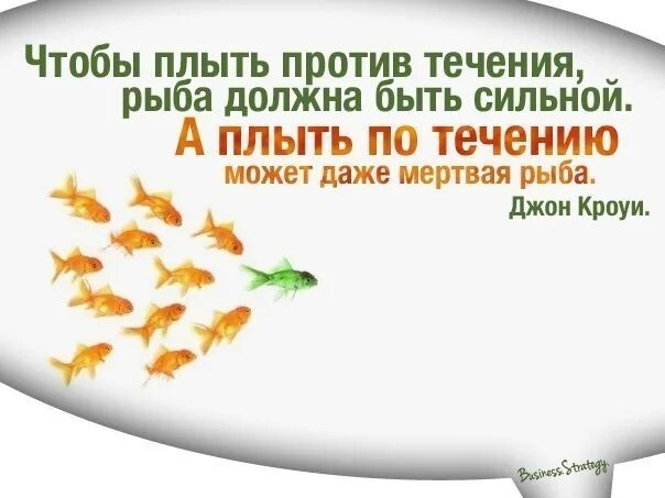 Я всегда текут. Плыть против течения. Живая рыба плывет против течения. Рыба плывет по течению. Плыть по течению цитаты.