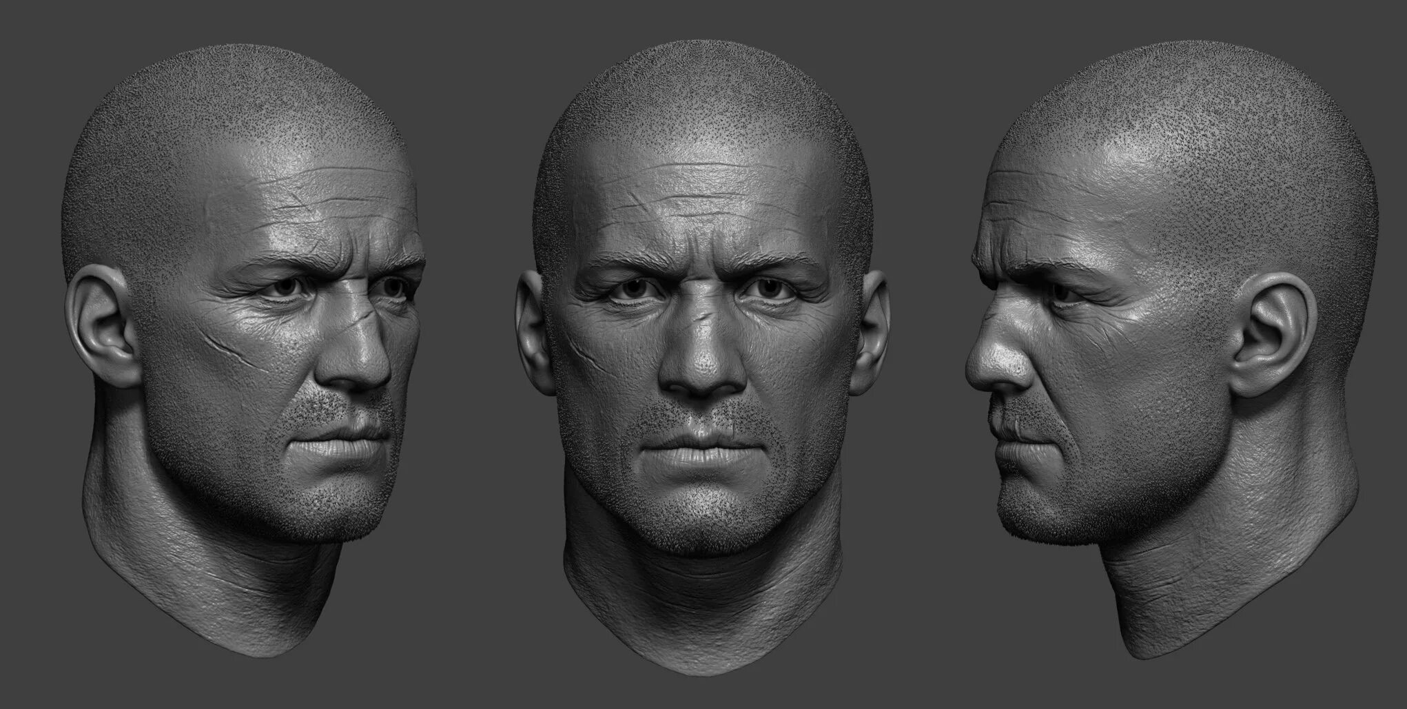 Голова спереди. 3д моделирование в zbrush. референс zbrush face. голова референс 3д. 3в модель лица шварценеггера.