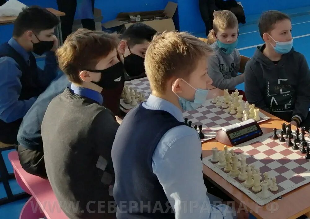 Кострома шахматы. Шахматный турнир на приз главы. Шахматные турниры в Костроме в 2024 году в феврале. Кострома турнир
