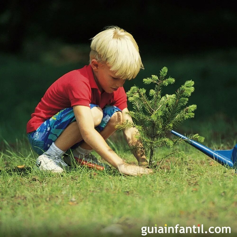 Добрые поступки детей. Труд есть добро. Труд есть добро. Субботник мультяшный. Детям о труде.