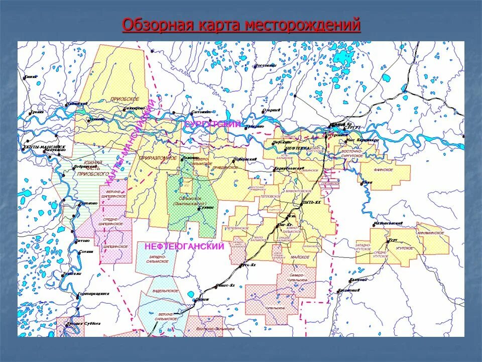 Карта дорог сургутнефтегаз. Обзорная карта месторождений Нефтеюганского района. Западно-Малобалыкское месторождение. Западно-Асомкинское месторождение на карте. Назымское месторождение на карте ХМАО.