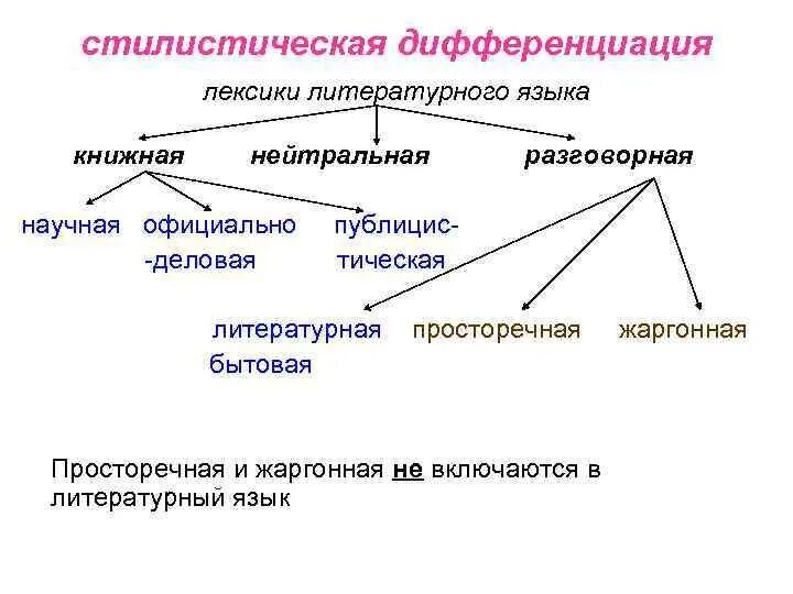 Функционально-стилистическая дифференциация лексики. Стилистическая дифференциация русской лексики. Функционально-стилевая дифференциация речи. Лексика литературного языка. Литературно книжная лексика