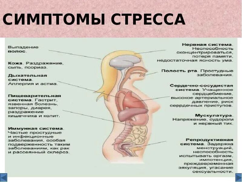 Может ли быть температура от нервов