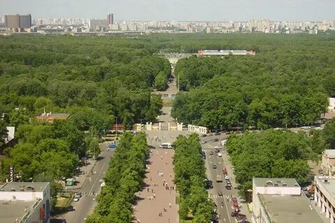 Сокольнический парк москва