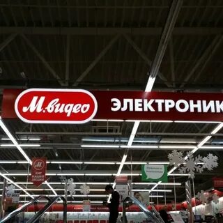 Кедр пулково