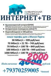 Подключить интернет сибирский медведь