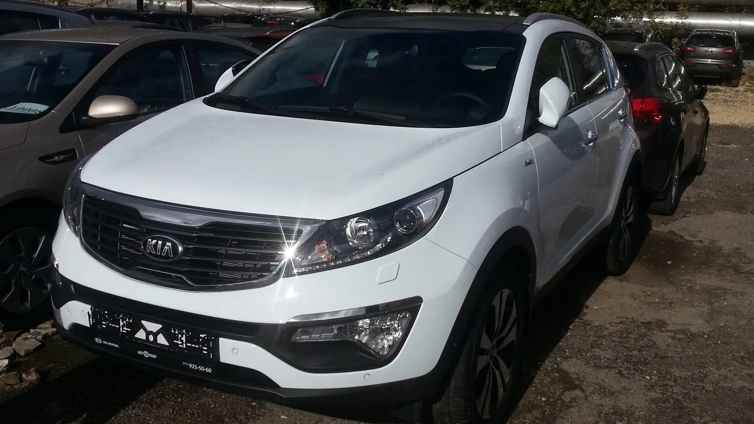Спортейдж sls. Спортейдж sls. Cia sls sportage 2015. Спортейдж sls. Sportage 3 sl.