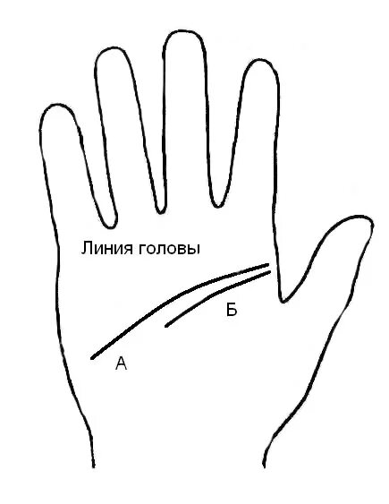 линия ж. правая рука линии хиромантия. линия жизни ума и сердца. линия судьбы на ладони. линия ж.