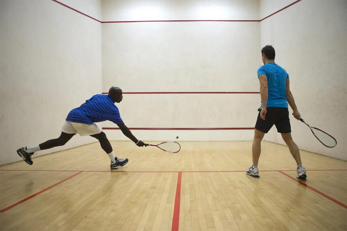Что такое сквош. Squash игра. squash вид спорта. бузинный сквош. сквош спорт.