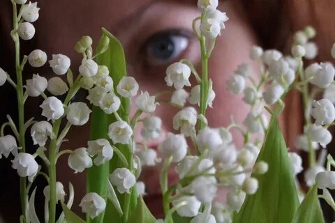 Я подарю вам ландыши без повода