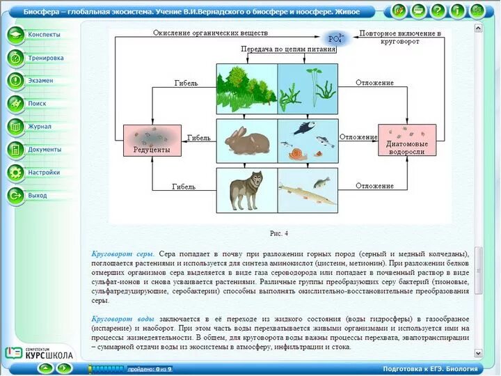 Занимательная биология 5 класс внеурочная деятельность. Построение вариационной кривой по листьям цветка. Программное обеспечение в биологии. Биология разделы программы. Биология 10 класс фгос пасечник углубленный уровень.