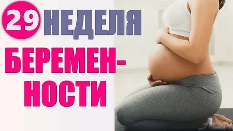Беременна недели видео
