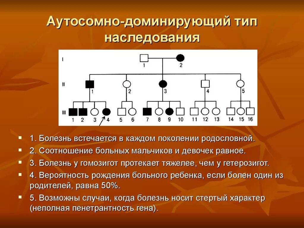 Аутосомно доминантные наследственные заболевания. Аутосомнодо доминат Тип насл. Родословная с аутосомно-доминантным типом наследования. Аутосомно-доминантный Тип. Аутосомно-рецессивный Тип наследования признаков у человека:.