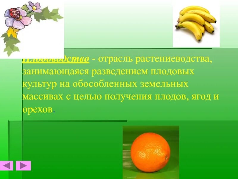 Значение плодовых. Плодоводство 4 класс. Растениеводство плодовая культура. Доклад о плодоводстве. Проектная работа 4 класс Плодоводство.