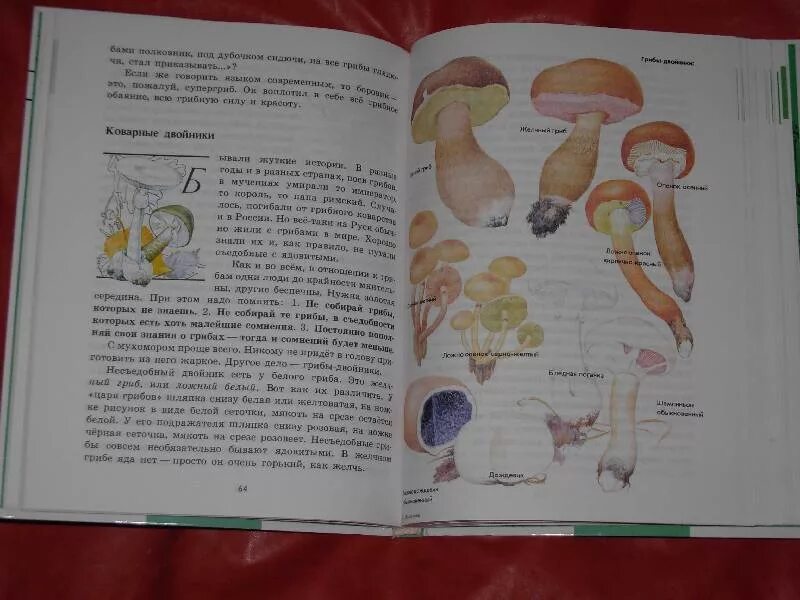 Зеленые страницы рассказ его величество. Зеленые страницы коварные двойники. плешаков &quot;зелёные страницы&quot;. рассказ коварные двойники. книга зеленые страницы коварные двойники.