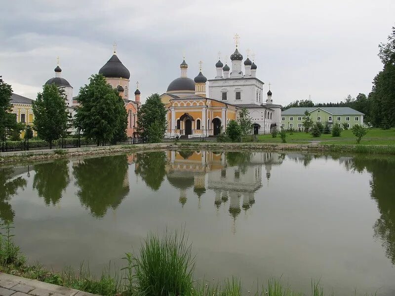 Серпухов Давидова пустынь. Вознесенская Давидова пустынь. Мужской монастырь Давидова пустынь. Давидова пустынь монастырь святыни. Монастырь давидова пустынь сайт