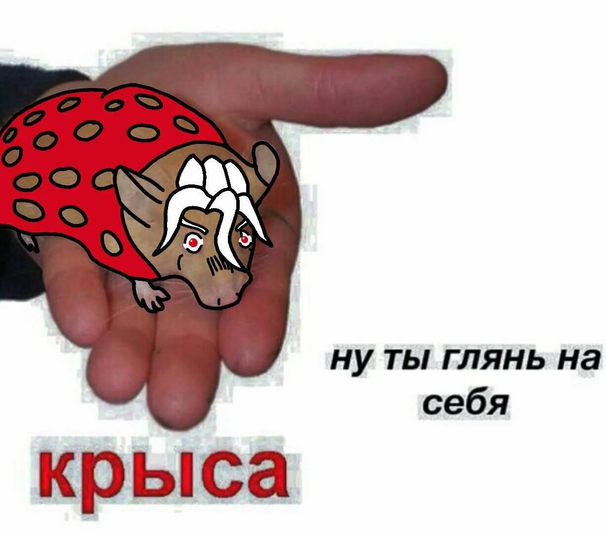 Ля ты крыса полная. Фуго крыса. Фуго крыса Джоджо. Крыса Мем. Фуго крыса Мем.