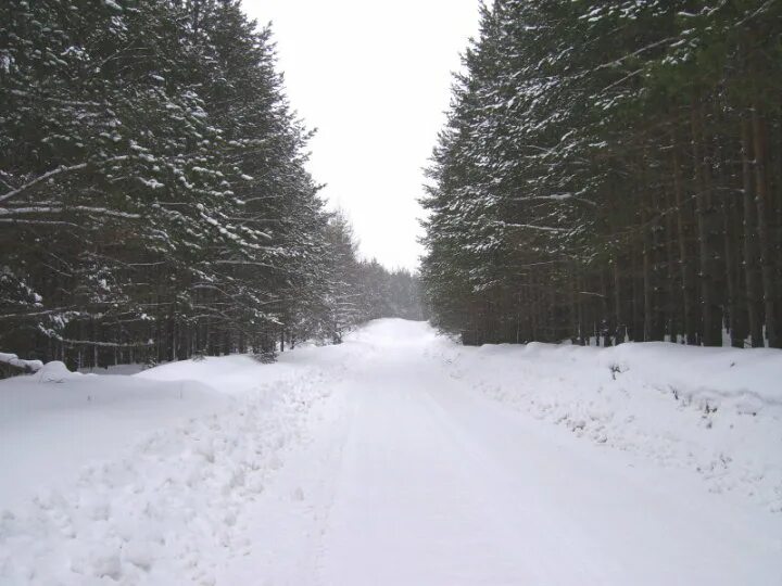 расписание автобусов 2021 год. фосфоритный воскресенский район гора. фосфоритный воскресенск расписание. озеро фосфоритный воскресенск. горячая вода воскресенск.