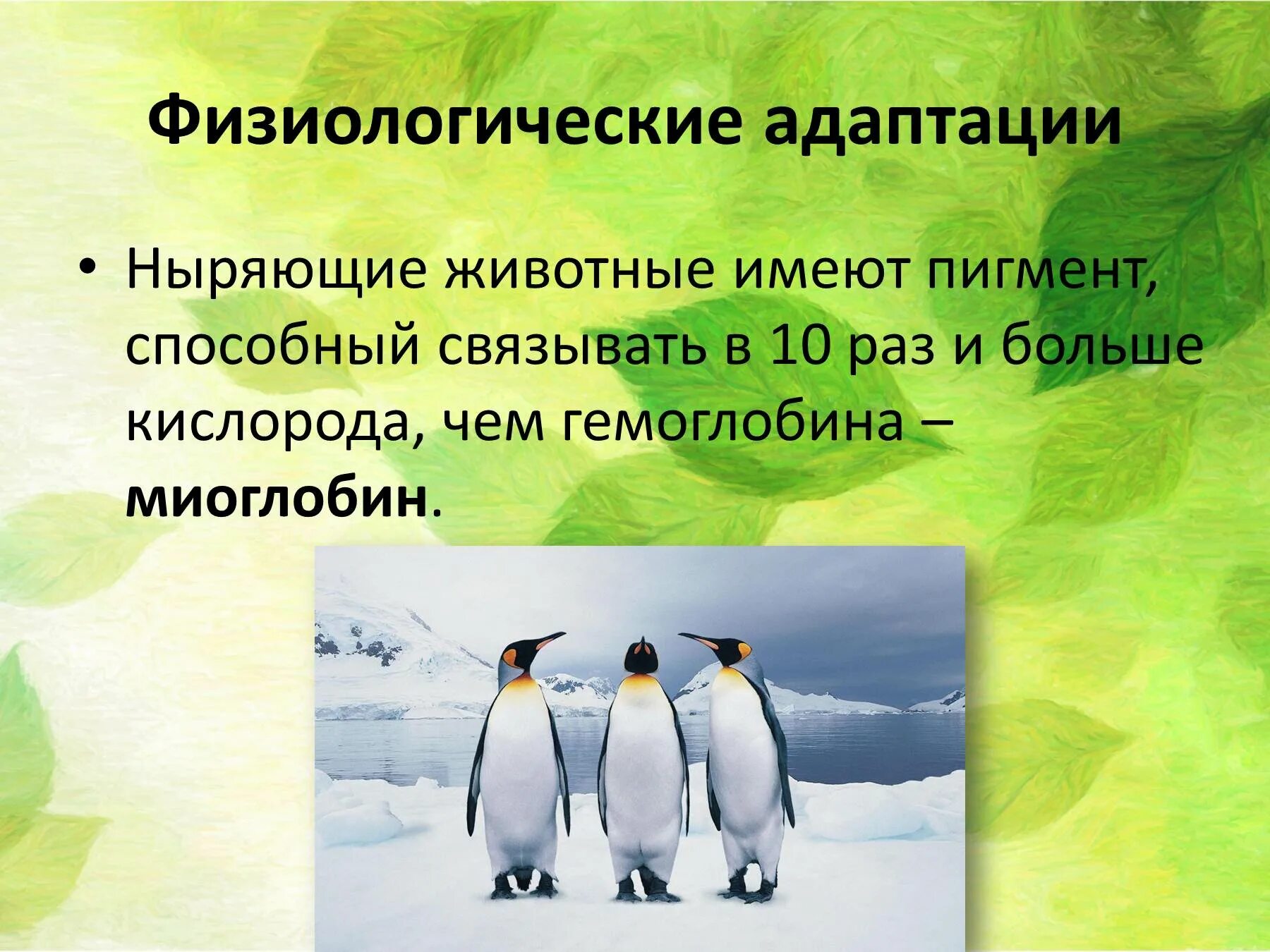 Особенности физиологической адаптации. Физиологические адаптации примеры. Физиологические адаптации организмов. Физиологические адаптации накопление жира. Физиологическая адаптация человека.