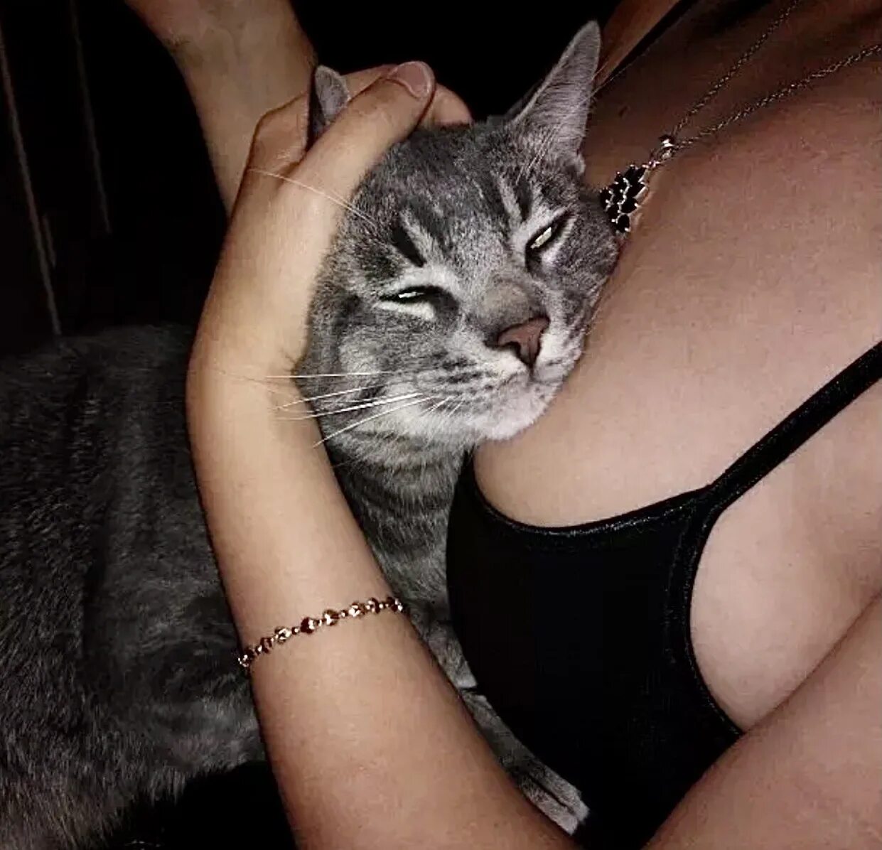 Кошка трогает. Кошка трогает. Милые котики. Котенок кусает. Кот трогает лапой.