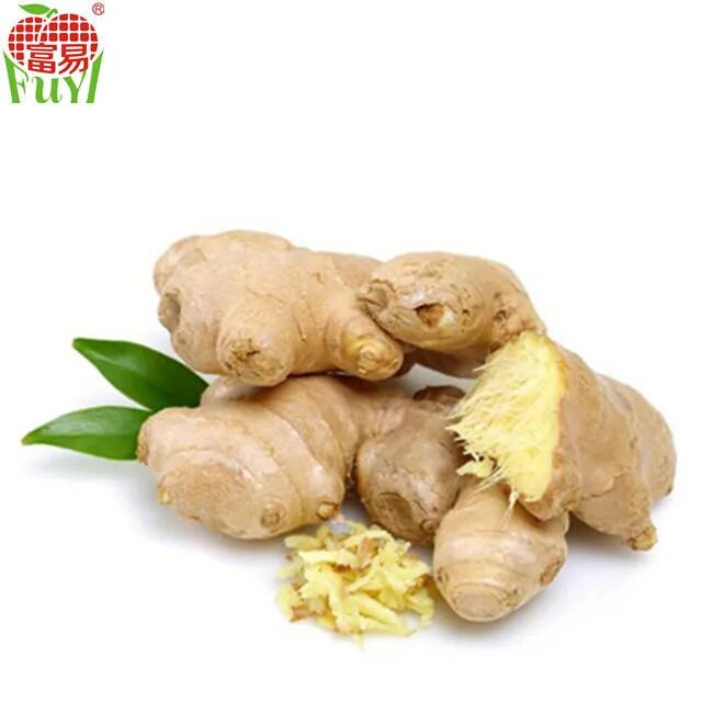 Products of ginger. Ginger ale ford. Structure of ginger. Ginger перевод на русский язык. Ginger ale сорт.