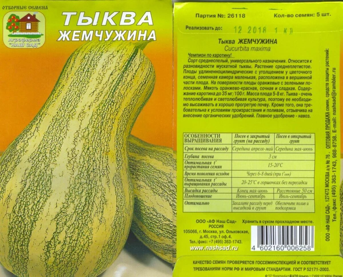 Описание отзывы 0. Тыква мускатная описание сорта. Тыква кустовая мускатная Жемчужина. Тыква Грибовская кустовая.