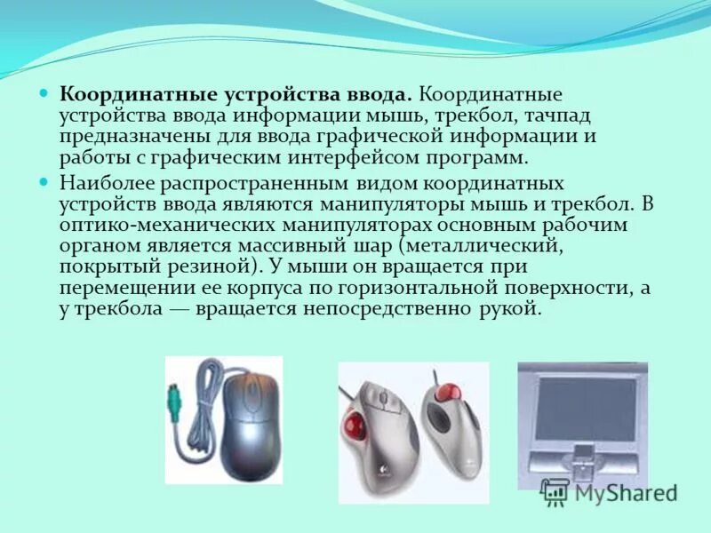 Мышь устройство ввода графической информации. Координатные устройства ввода. координатные приспособления для ввода информации. устройства ввода информации трекбол. мышь. координатные устройства ввода информации.