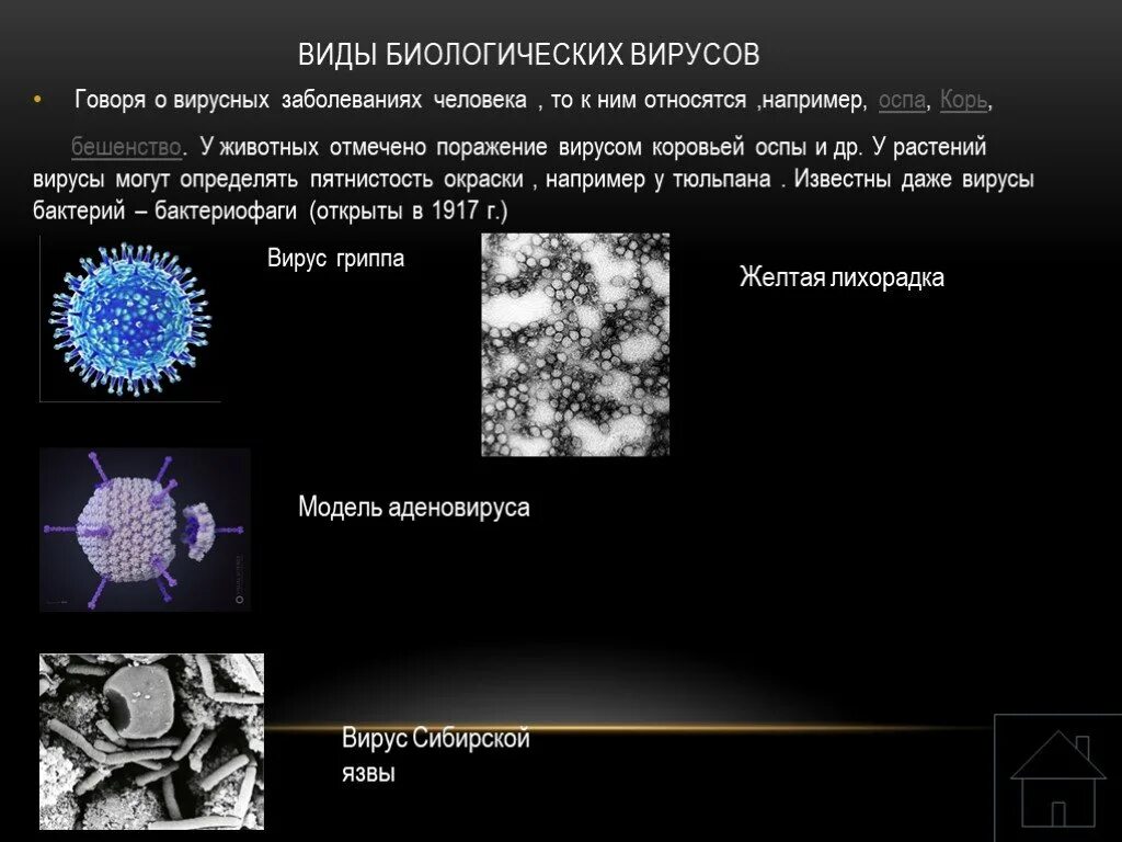 Вирусы тест 10. Вирусы 10 класс. Вирусы презентация 10 класс. Вирусы и объекты поражения. Проект вирусы 10 класс.