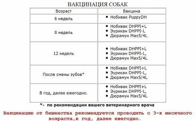 Сколько нельзя гулять после. Прививки по возрасту после 1 года для собак. График прививок щенкам до года. Прививки собакам по возрасту таблица. Сколько прививок делают щенку.