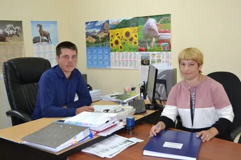 Авито абатское