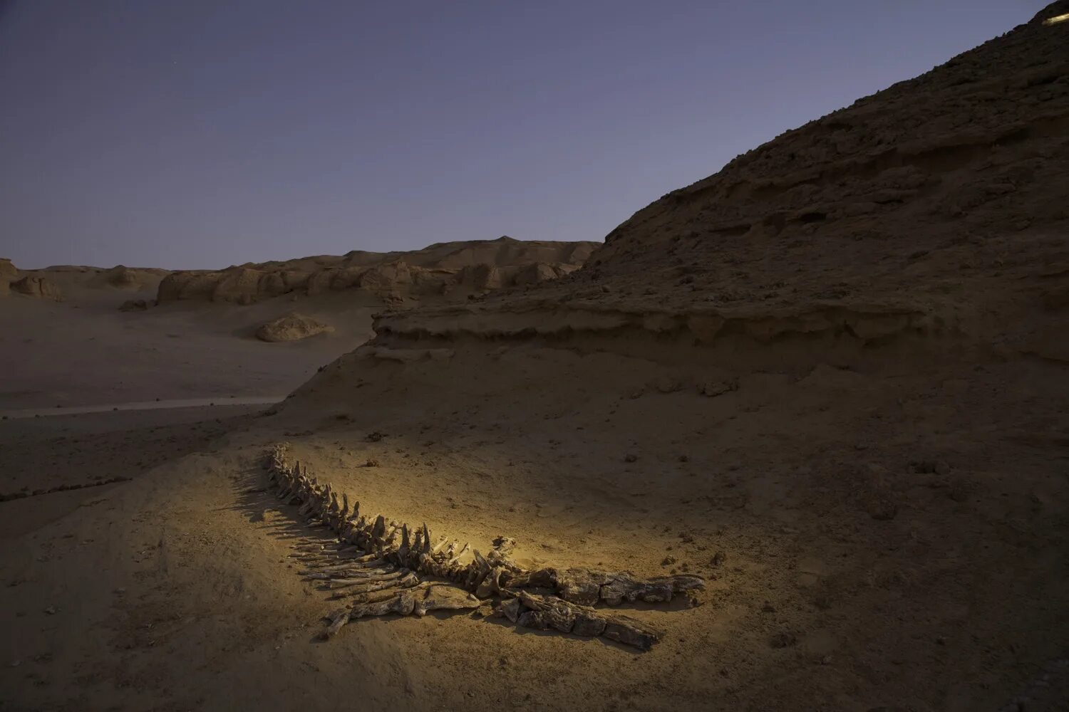 Самая крупная пустыня на земле. Долина китов Вади-Аль-хитан. Вади Аль хитан Египет. Пустыня Вади Аль-хитан. Пустыни сахара, нубийская пустыня,.