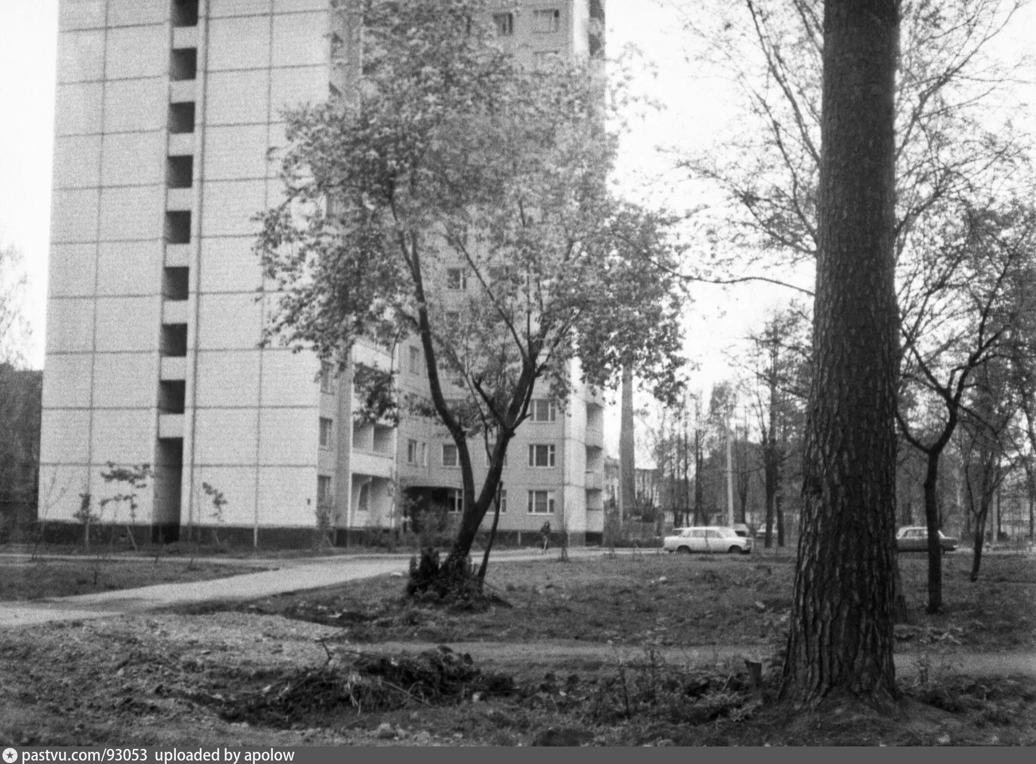 Бабушкинский район. Печорская улица. Печорская д13. Москва Печорская улица д8. Улица Печорская Москва. Бабушкинский вк