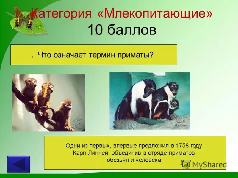 Карточка с заданиями по теме приматы. Что означает термин «обгон»? опережение. Термины обозначающие животных. Анатомия понятие. Направление - термин.