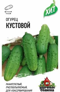Огурцов 3 3 5