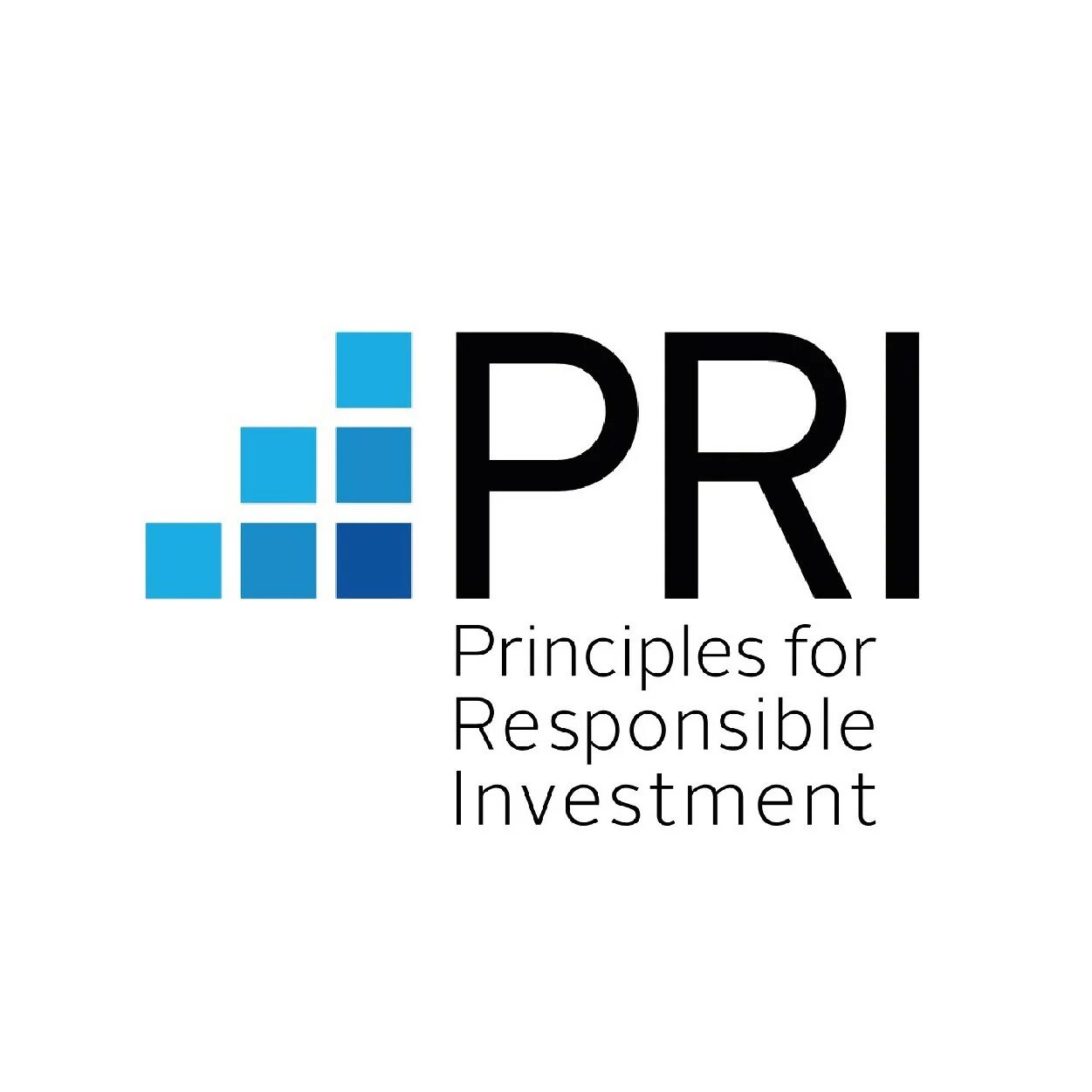 Pri. Principles of responsible investment. Principles for responsible investment. Логотип при. P^RI логотип.