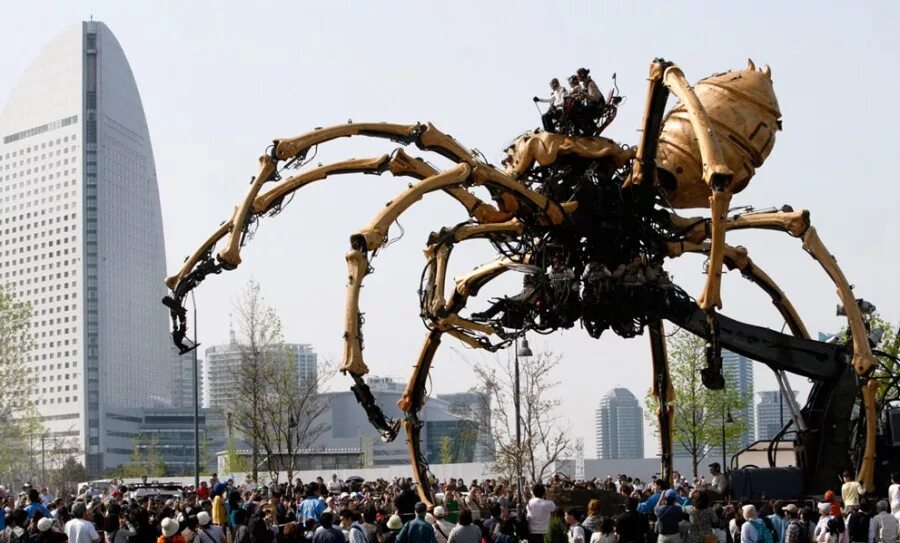 Самого 1 человека на планете. Пауки гиганты. Самый огромный паук в мире. Самый гигантский паук в мире.