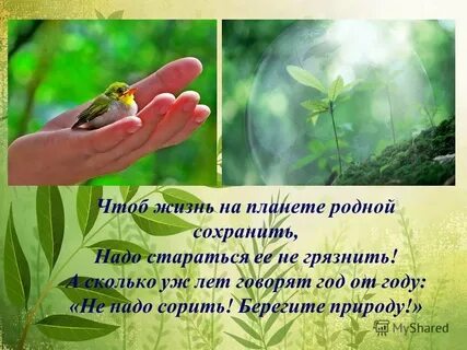 Почему говорят что природа не прощает ошибок